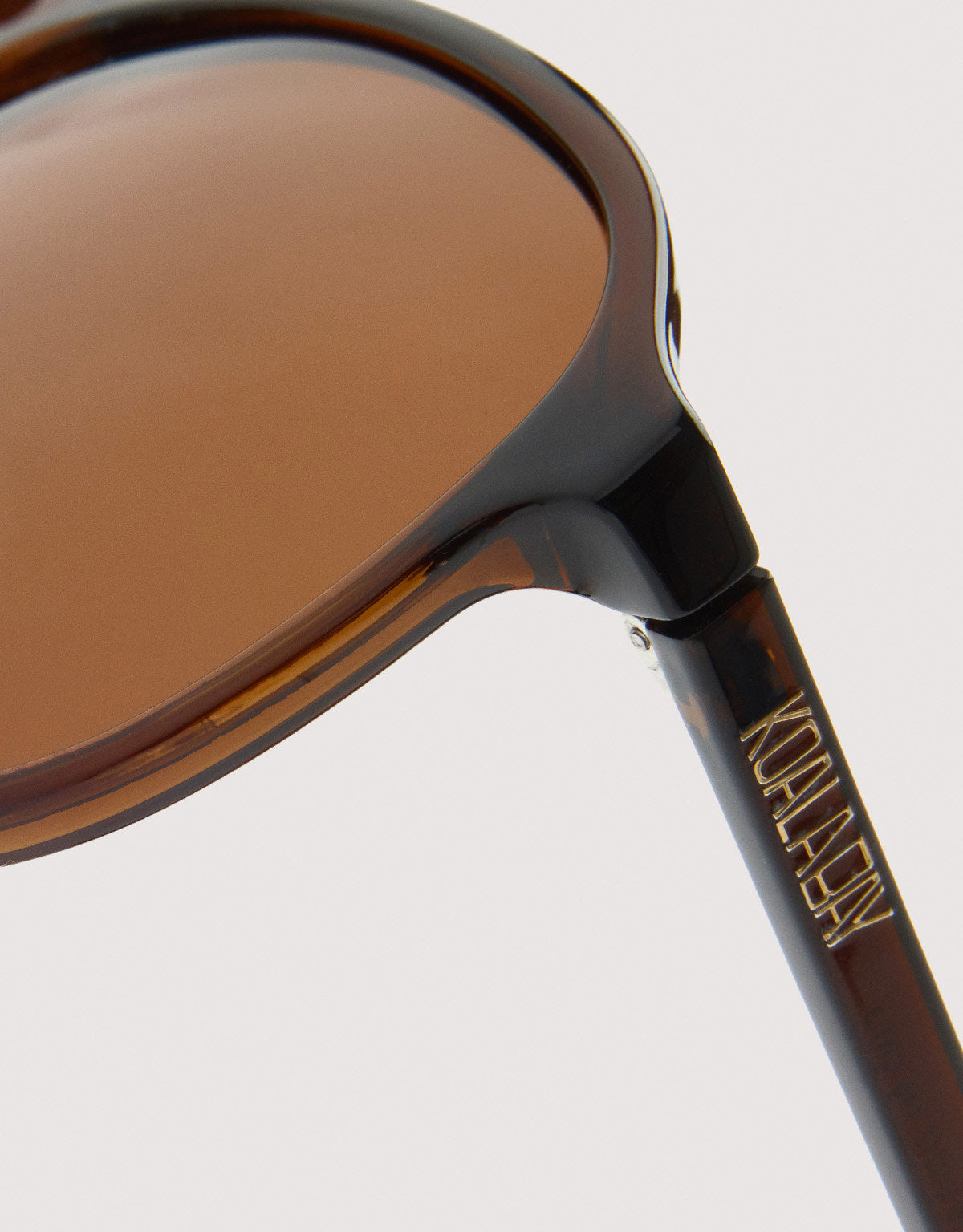 Gafas de Sol Marrón - Poll 6