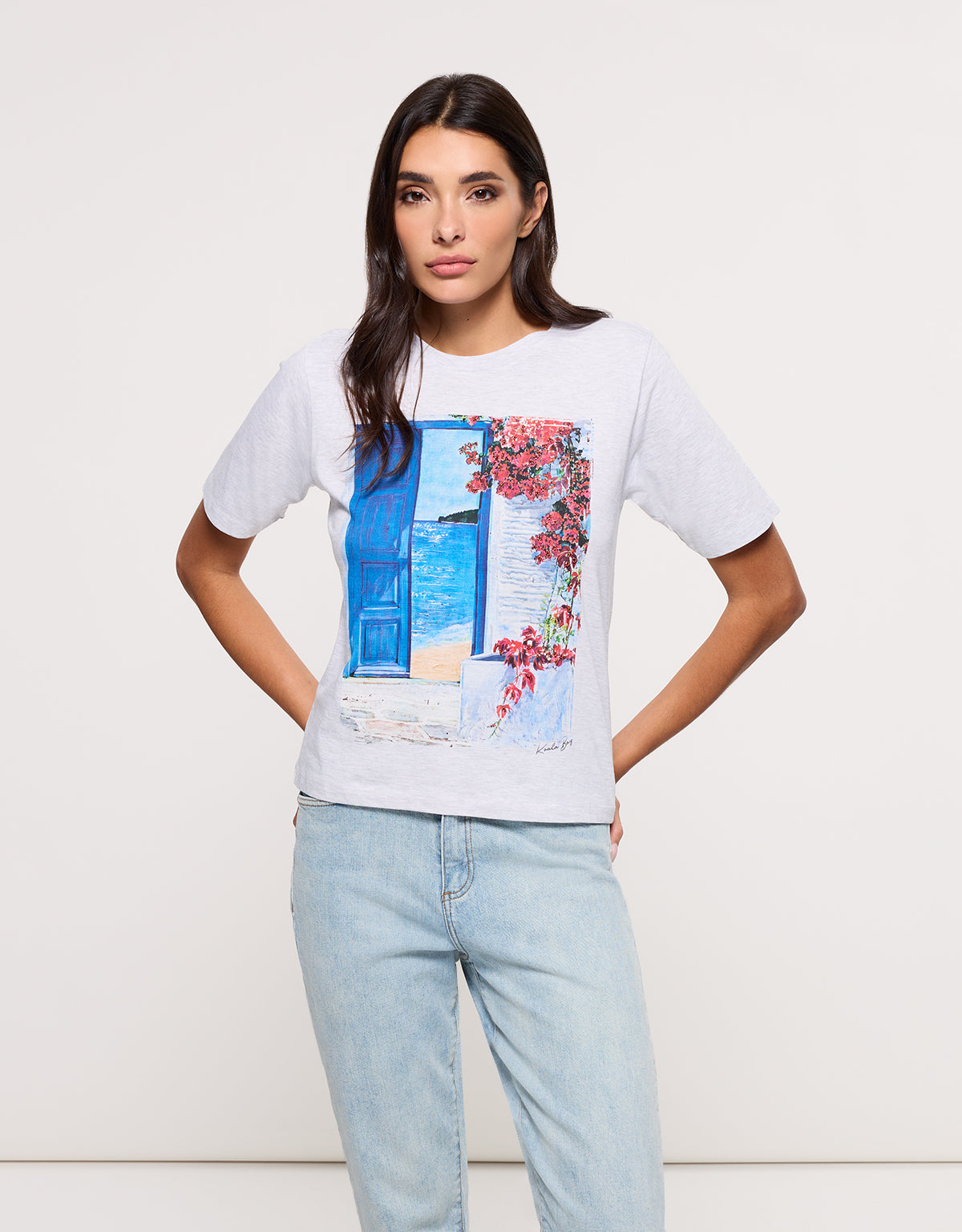 Camiseta Manga Corta Gris - Bluedoor 3