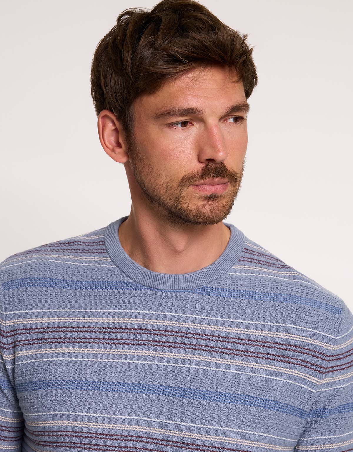 Blue Striped Sweater - Olvero