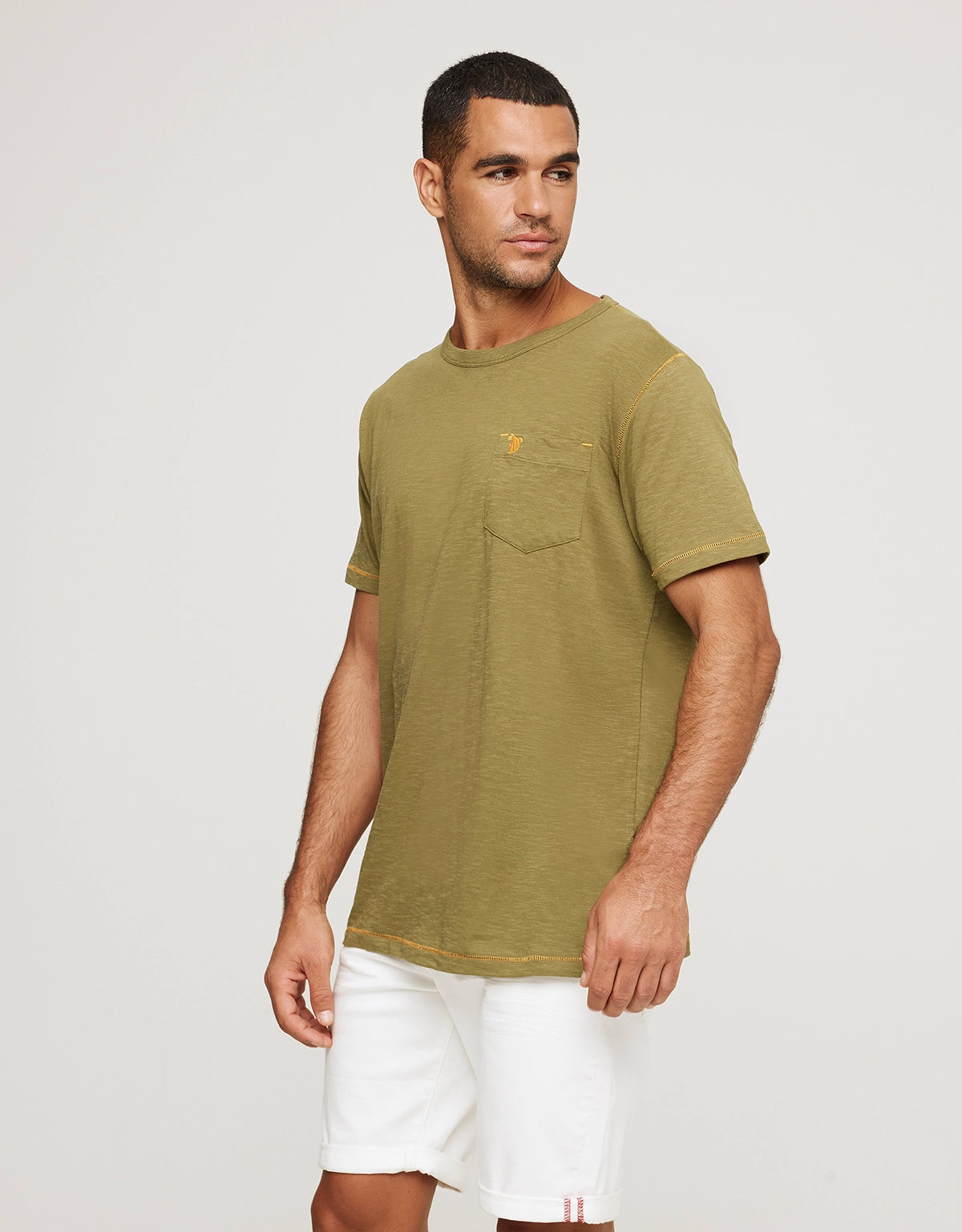 Camiseta Manga Corta Caqui - Darwin 