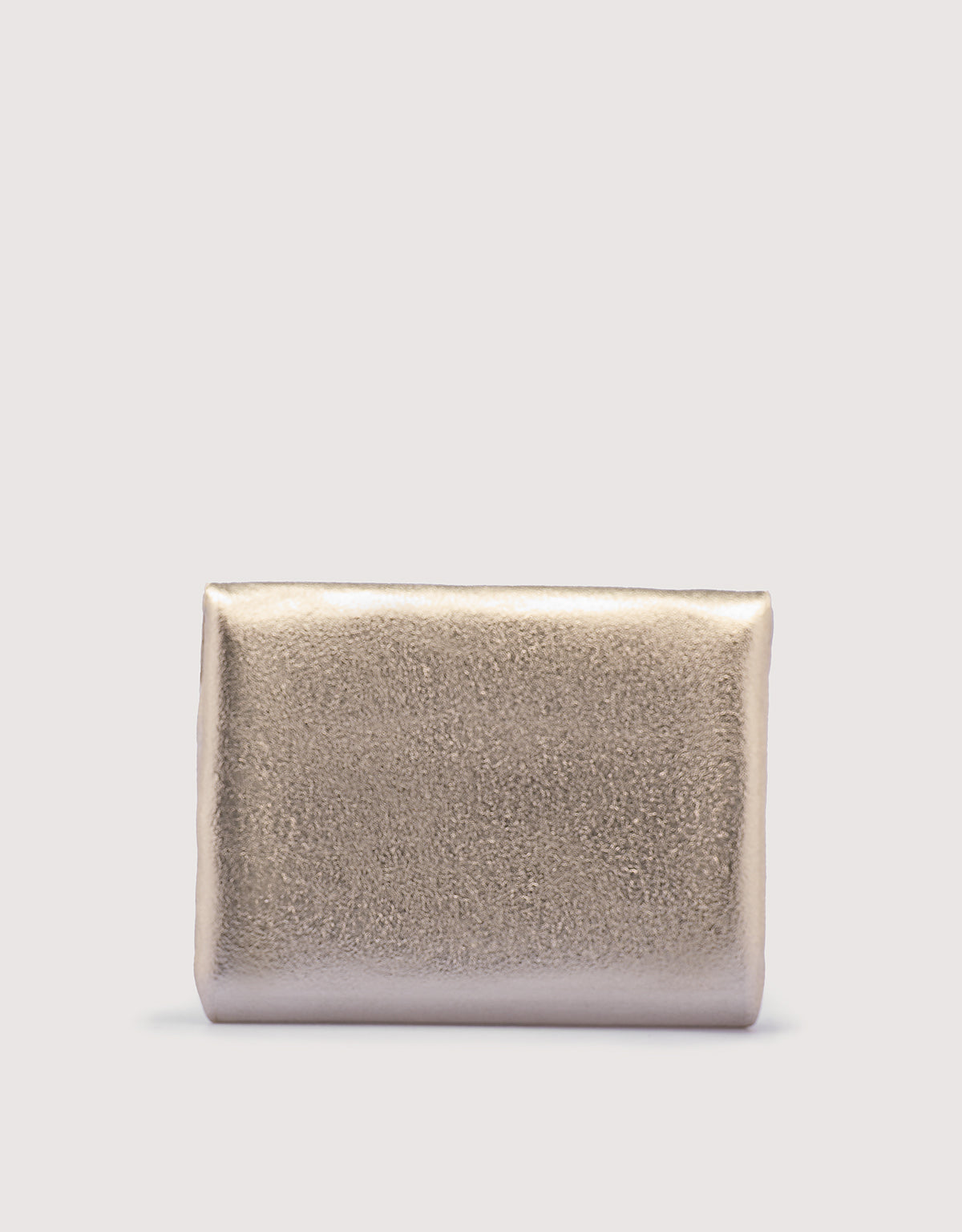 Leather Silver Purse - Regal