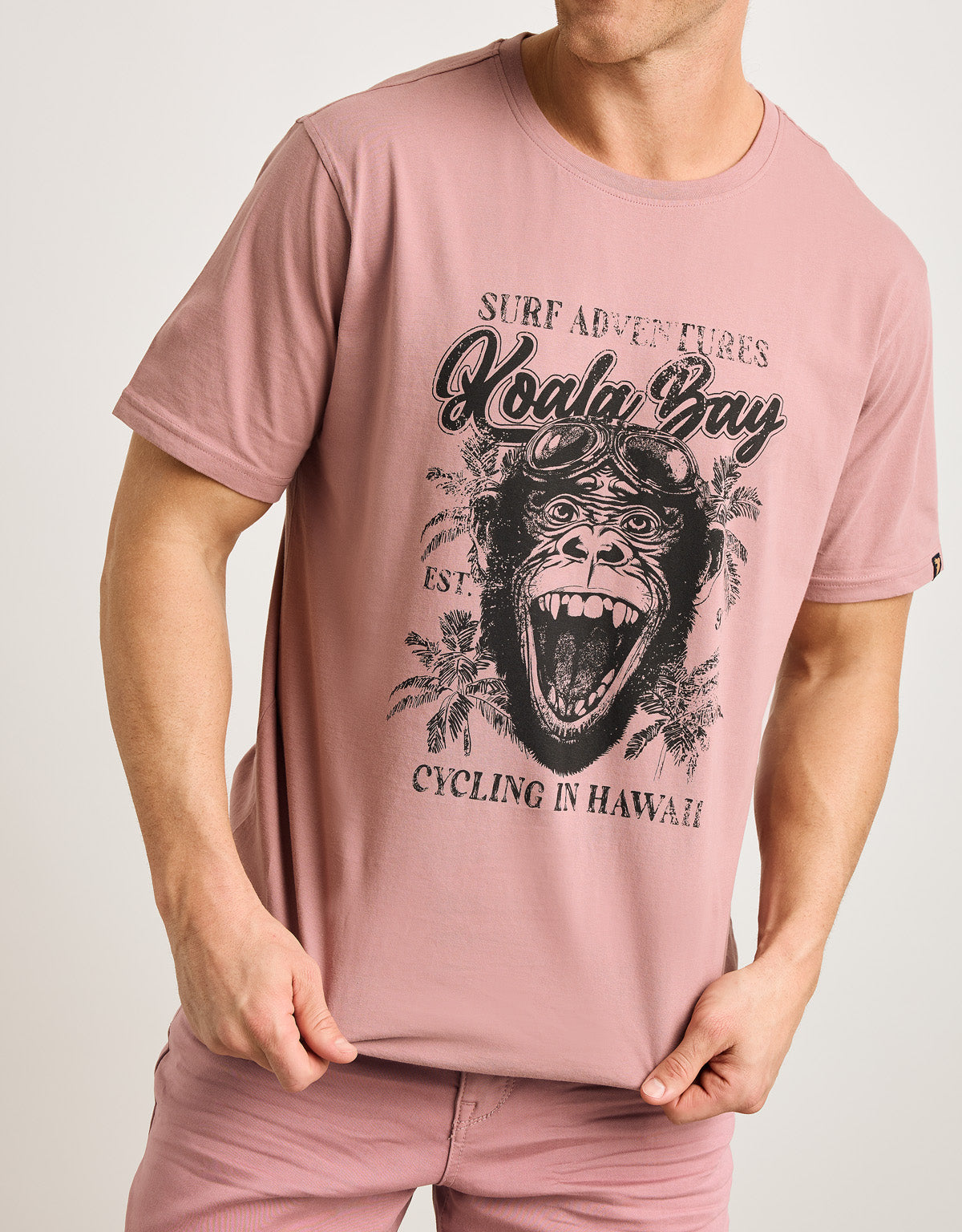 Camiseta Manga Corta Rosa Ceniza - Monquecito 