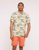 Camisa Manga Corta Beige - Thunder