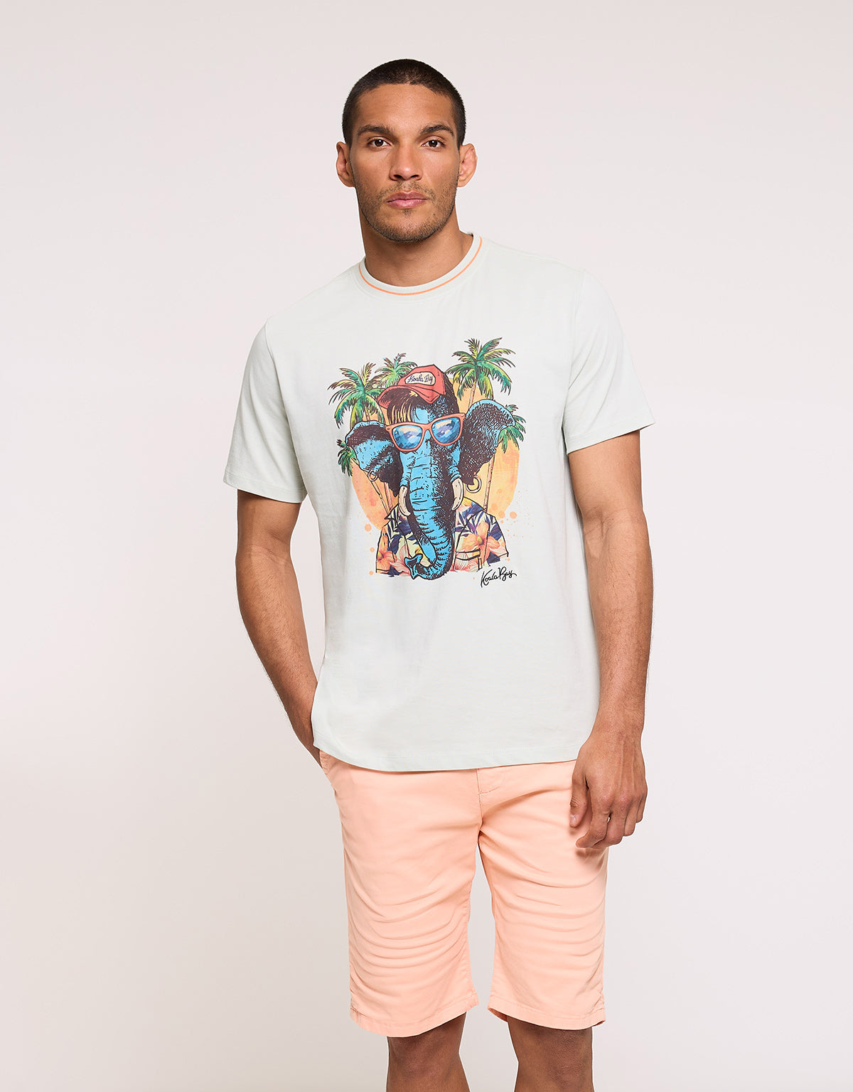 Camiseta Manga Corta Verde - Sanmarino