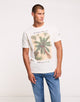 Camiseta Manga Corta Amarillo - Noki 1