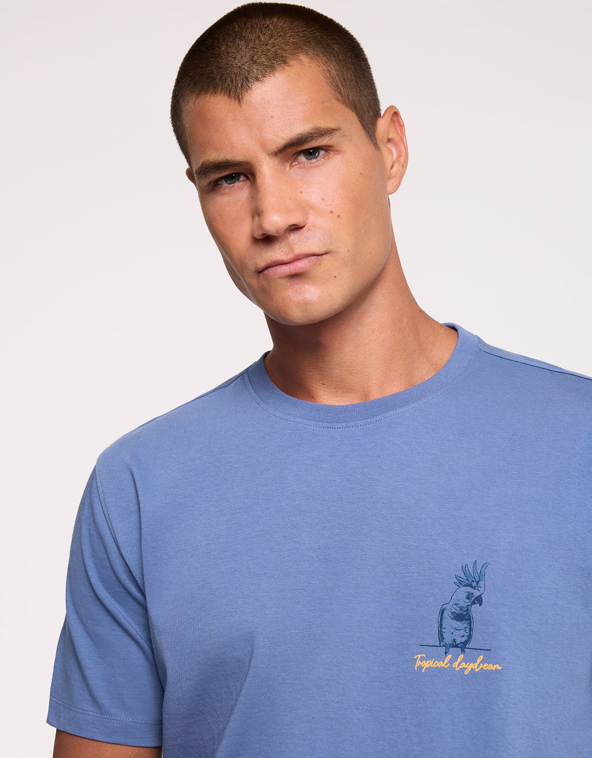 Camiseta Manga Corta Azul - Aboniu 4
